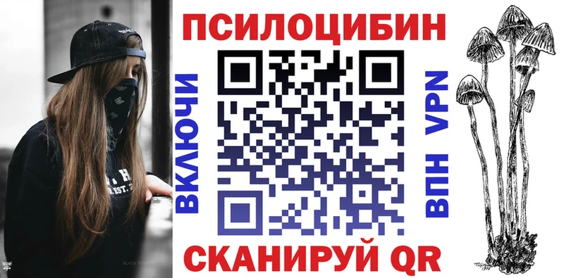 Купить  Гай  Псилоцибиновые грибы мицелий 