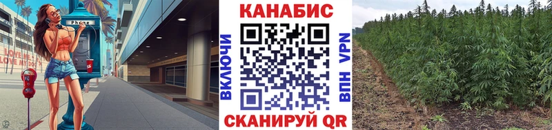 Шишки марихуана план  Купить где  Гай 